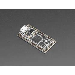 Adafruit ItsyBitsy M4 Express mit ATSAMD51
