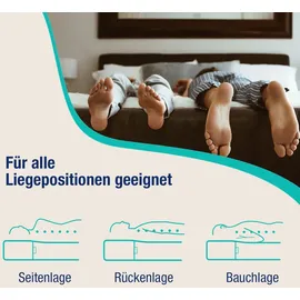 schlafhafen Ergonomische 7 Zonen 200 x 200 cm H2/H3