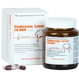 Pankreatin Laves 10.000 Ph.Eur.-Einheiten