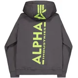 Alpha Industries Back Print Kapuzenpullover Vintage Grey S