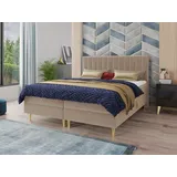 Sofnet Boxspringbett 160 x 200 cm Beige