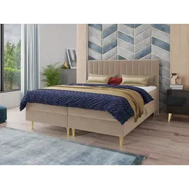 Sofnet Boxspringbett 160 x 200 cm Beige