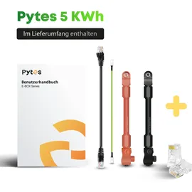 pytes Spezial-Akku LiFePO 4 48 V/DC 100 mAh 1 St.