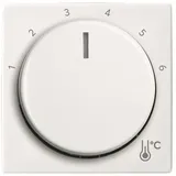 Busch-Jaeger Zentralscheibe Temperatur rund 1794 R-914