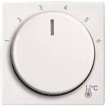 Busch-Jaeger Zentralscheibe Temperatur rund 1794 R-914