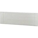 Rau Lochplatte für Wandmontage BxTxH 1500x15x450mm