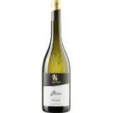 Kellerei Kaltern Stern Sauvignon Blanco 2023 - Kaltern