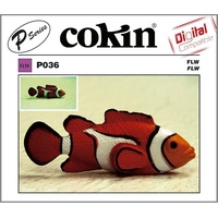 Cokin P036 FL-W Filter