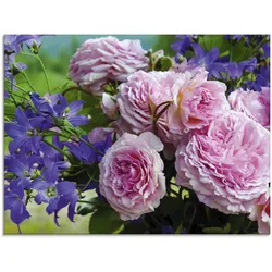 Glasbild ARTLAND "Rosen und Glockenblumen", pink (farbe bild(er): pink), B:80cm H:60cm, Bilder, in verschiedenen Größen