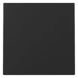 Gira 3296005 Wippe Schwarz matt