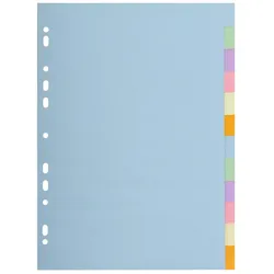 Exacompta Register aus Recycling-Karton 170g/qm, 12 Positionen, für Format DIN A4 - Forever