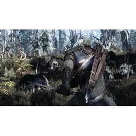The Witcher III: Wild Hunt - Game of the Year Edition (PEGI) (PS4)