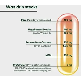 Pharmatura GmbH & Co. KG AuraNatura Fermentura Doloferm 60 st