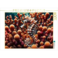 Calvendo Puzzle Pygmäenseepferdchen vor Gorgonienkorallen 1000 Teile Lege-Größe 64x48cm