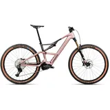 2026 29 Zoll 630 Wh desert rose/carbon raw matt M