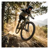 RockShox Federgabel Psylo Gold RC 29"Boost,15x110mm,160mm,sw,44offset,DA