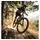 RockShox Federgabel Psylo Gold RC 29"Boost,15x110mm,160mm,sw,44offset,DA