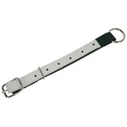 Halsriemen für Schafe Nylon 60 cm, grün