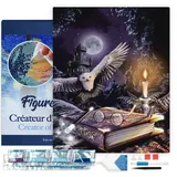 ap commerce FiguredArt DP-739-Y - Diamond Painting, Magische Eule, Leinwand-Keilrahmen 40x50cm, Diamond Painting Set