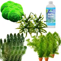 vdvelde.com - Teich Klar Bekommen Paket - XXL - Für 12.500-15.000 L - Sauerstoffpflanzen + Bakterien - Platzierung: lose im Wasser