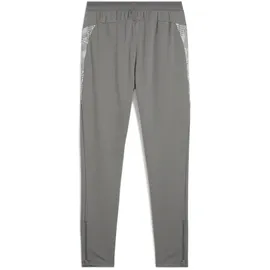 Puma teamCUP Training Pants - S