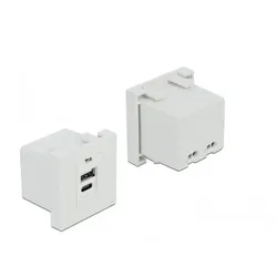 Delock Easy 45 - USB-Ausgang - USB, USB Typ-C