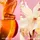 Paco Rabanne Fame Deodorant Spray 150 ml