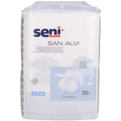 Seni San Alvi