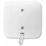 Busch-Jaeger Zugwechselschalter aws UP 2610/6 UJ-214