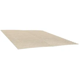 vidaXL Bettlattenrost Ersatz mit 48 Latten 2 Stk. 100 x 200 cm