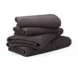 Möve Frottana Handtuchset 2x 50 x 100 cm + 2x 67 x 140 cm grau 4-tlg.