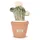 Doudou et Compagnie Doudou Botanic Kaktus 25 cm Beige