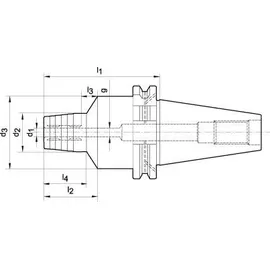 WTE Hydro-Dehnspannfutter DIN69871ADB SK40 18 x 80,5 mm