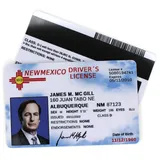 1x DUB SPENCER lustiger Saul Goodman Jimmy MC Gill Fake Scherzartikel Führerschein unechte ID Ausweiskarte für Geburtstag als witziges Gag Geschenk