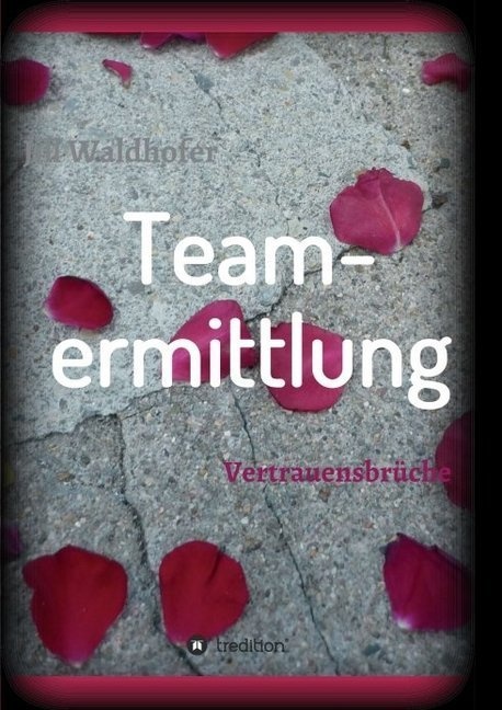 Teamermittlung - Jill Waldhofer  Kartoniert (TB)