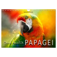 Calvendo Mein bunter Papagei (Wandkalender 2026 DIN A4 quer),
