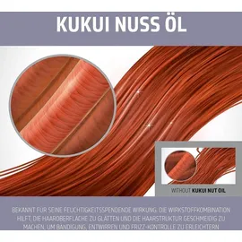 Goldwell Dualsenses Just Smooth Taming 250 ml