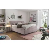 Set One by Musterring Boxspringbett Fairfield 180 x 200 cm Stoff Flamingo