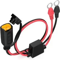 Ctek Comfort Indicator Eyelet M8