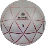 TRIAL Gewichtsball Skin Ball 9 kg 30 cm