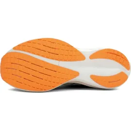 Mizuno Wave RIDER 29 Laufschuhe Herren - 45