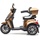 Econelo E-Trike J1000 25 km/h braun