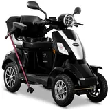 E-Quad 25 V.2 1000 Watt 25 km/h schwarz