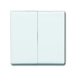 Wippe Serien, Wechsel/Wechsel, Doppeltaster (weiß)