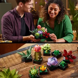 LEGO Botanicals Creator Expert Sukkulenten 10309