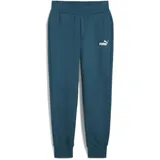 Puma Damen Essentials Jogginghose XS Cold Green ┃Basic Sporthose in Regular Fit Damen - XS