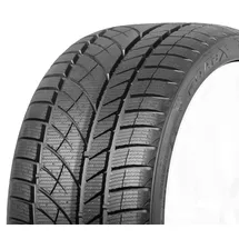 RoadX RX Frost WU01 225/55 R17 101V XL