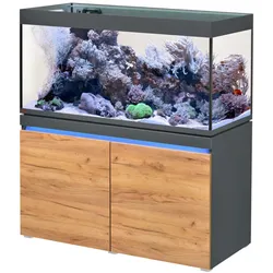 EHEIM incpiria reef 430 Meerwasser-Riff-Aquarium mit Unterschrank graphit-natur