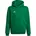 Kinder Kapuzenpullover Team green/white 176