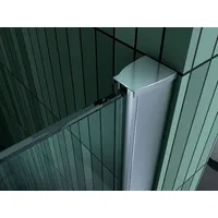 10 mm Duschtrennwand FREE-F 100 x 200 cm